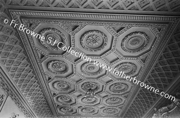CEILING OF SALOON